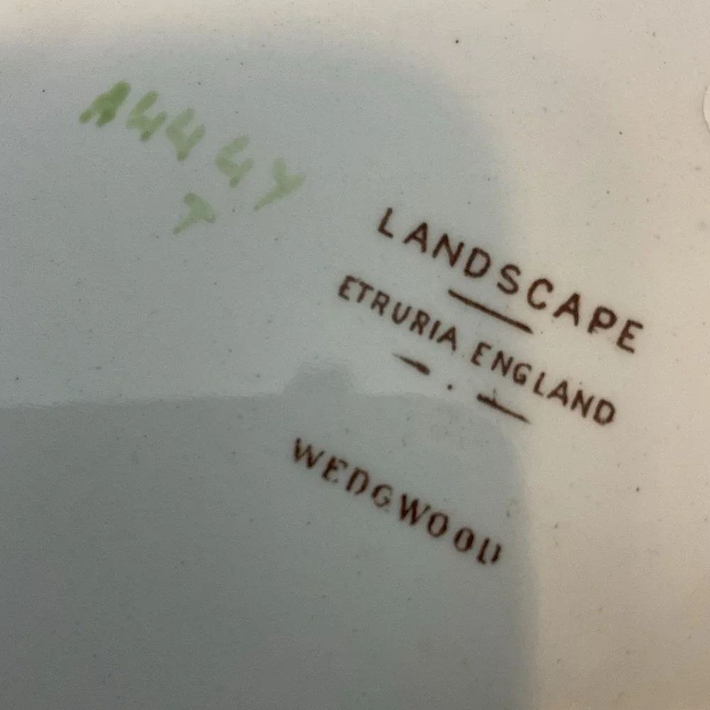 Vintage Wedgwood Etruria LANDSCAPE Multicolor Dinner‎ Plate 10